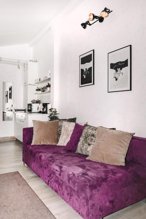 公寓 Alandala By The Center Cluj-Napoca